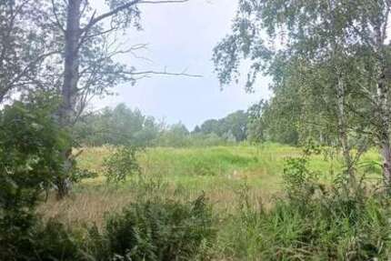 Grundstück zu verkaufen in Dresden 1.352.000 € 9200 m²