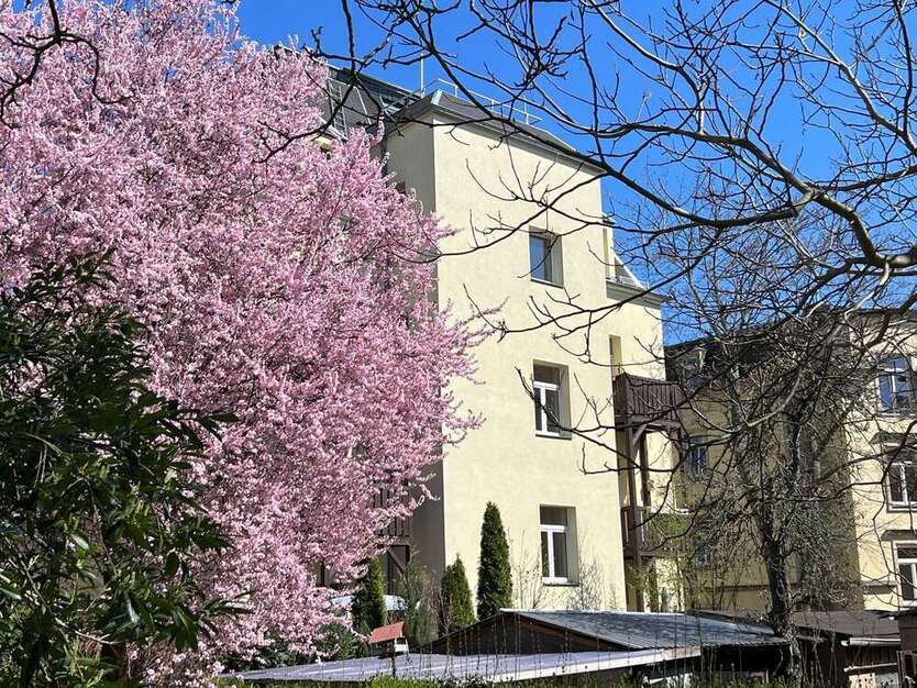 Wohnung zum Mieten in Dresden 630 € 70 m²