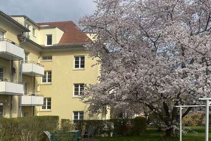Wohnung Dresden Naußlitz - 2 Zimmer, 52 m&sup2;, 510&euro; | Angebot:27489402