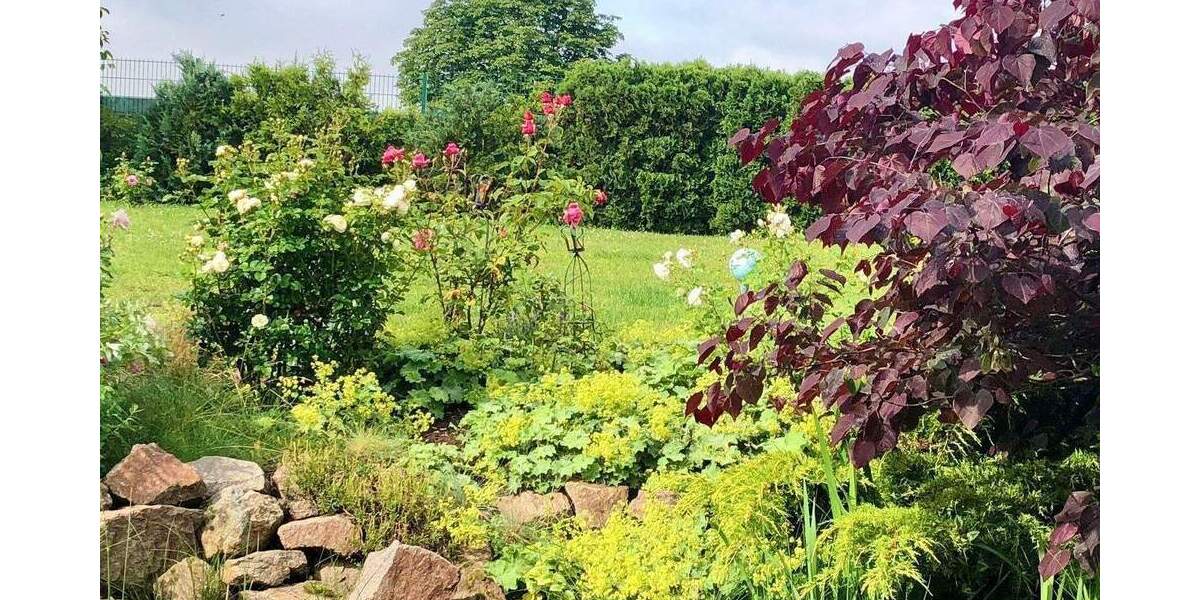 Einfamilienhaus Radeburg Bärnsdorf - 5 Zimmer, 210 m&sup2;, 797.000&euro; | Angebot:25781043