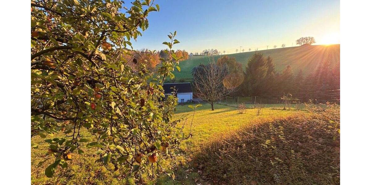 Ruhiges Grundstück vor den Toren der Landeshauptstadt zimmer