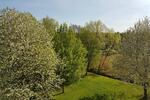 Etagenwohnung Dresden Prohlis - 4 Zimmer, 76 m&sup2;, 180.000&euro; | Angebot:27494837