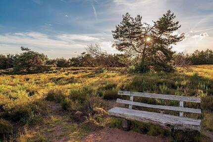 Wunderschön Leben an der Dresdner Heide - mit 2 Balkonen, Terrasse & Garten! 3 zimmer