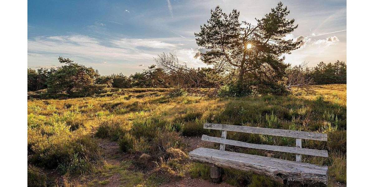 Wunderschön Leben an der Dresdner Heide - mit 2 Balkonen, Terrasse & Garten! 3 zimmer