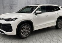 Gebrauchtwagen VW Tayron