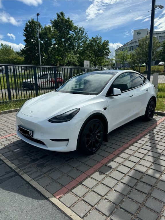 Model Y