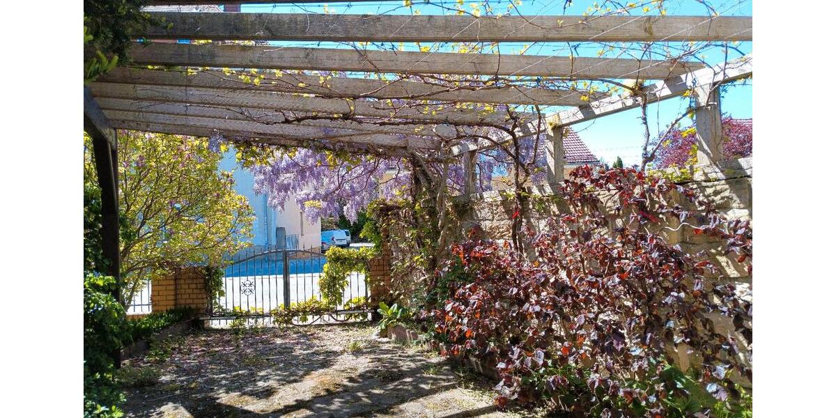Einfamilienhaus Heidenau - 750.000&euro; | Angebot:27459849