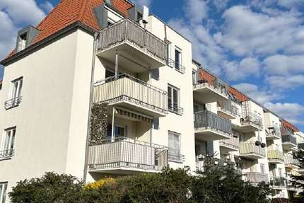 Wohnung zum Mieten in Dresden 300 € 29.26 m²
