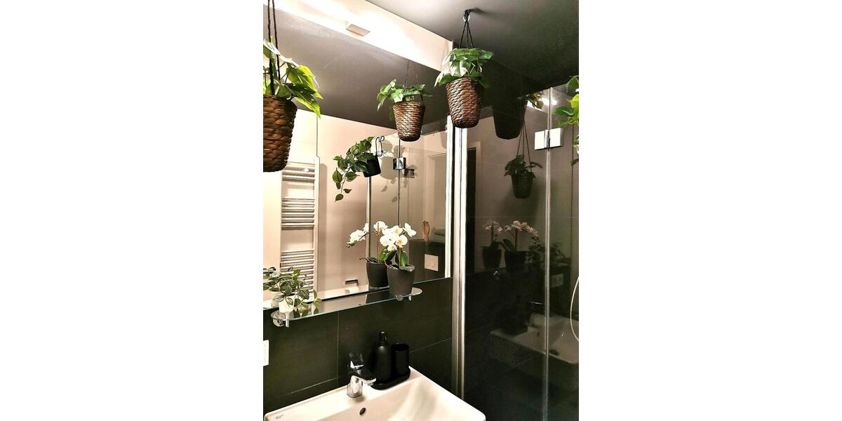 Erdgeschoßwohnung Dresden Plauen - 2 Zimmer, 48 m&sup2;, 850&euro; | Angebot:24373438