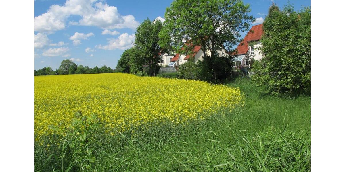 Doppelhaushälfte Dresden Leuben - 5 Zimmer, 125 m&sup2;, 479.000&euro; | Angebot:25942404