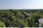 Etagenwohnung Dresden Seevorstadt-Ost/Großer Garten - 2 Zimmer, 64 m&sup2;, 795&euro; | Angebot:26894549