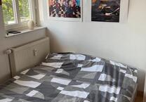 Helle 1-Zimmer-Wohnung (36 m^2) mit Balkon in Dresden Neustadt