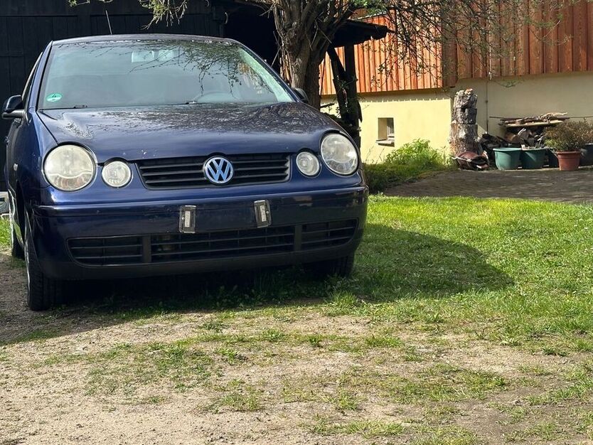Polo