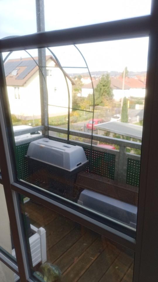 Nachmieter 3-Raum-Wohnung Dresden-Cossebaude zimmer