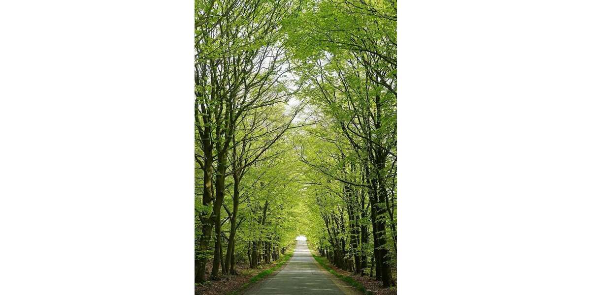 Etagenwohnung Ullersdorf Ullersdorf - 4 Zimmer, 99 m&sup2;, 352.870&euro; | Angebot:24155564