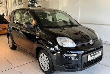 Fiat Panda 6.648 km 15.990 € Dresden 01109