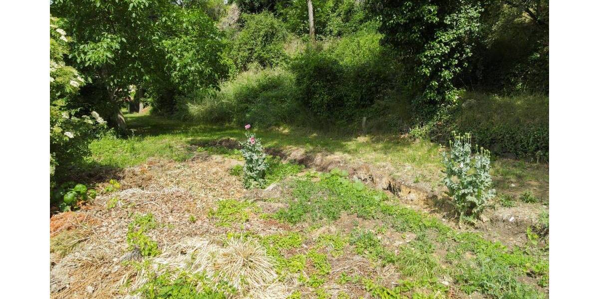 Grundstück Dresden Löbtau-Süd - 275.000&euro; | Angebot:26797377