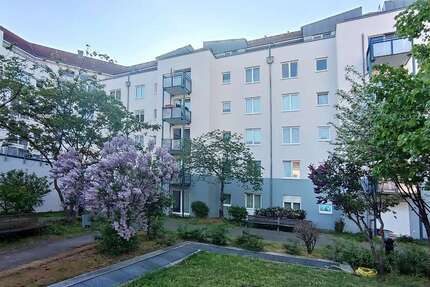 Wohnung Dresden Friedrichstadt - 1 Zimmer, 34 m&sup2;, 375&euro; | Angebot:26872114