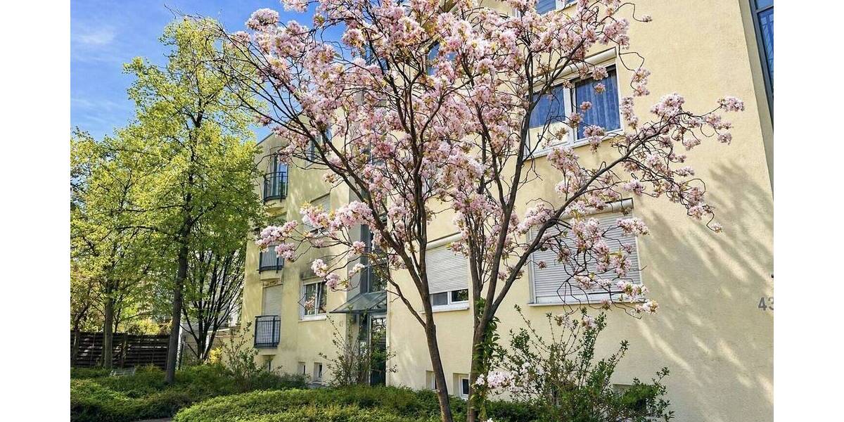 Etagenwohnung Dresden Pieschen-Nord/Trachenberge - 2 Zimmer, 55 m&sup2;, 147.000&euro; | Angebot:26377819