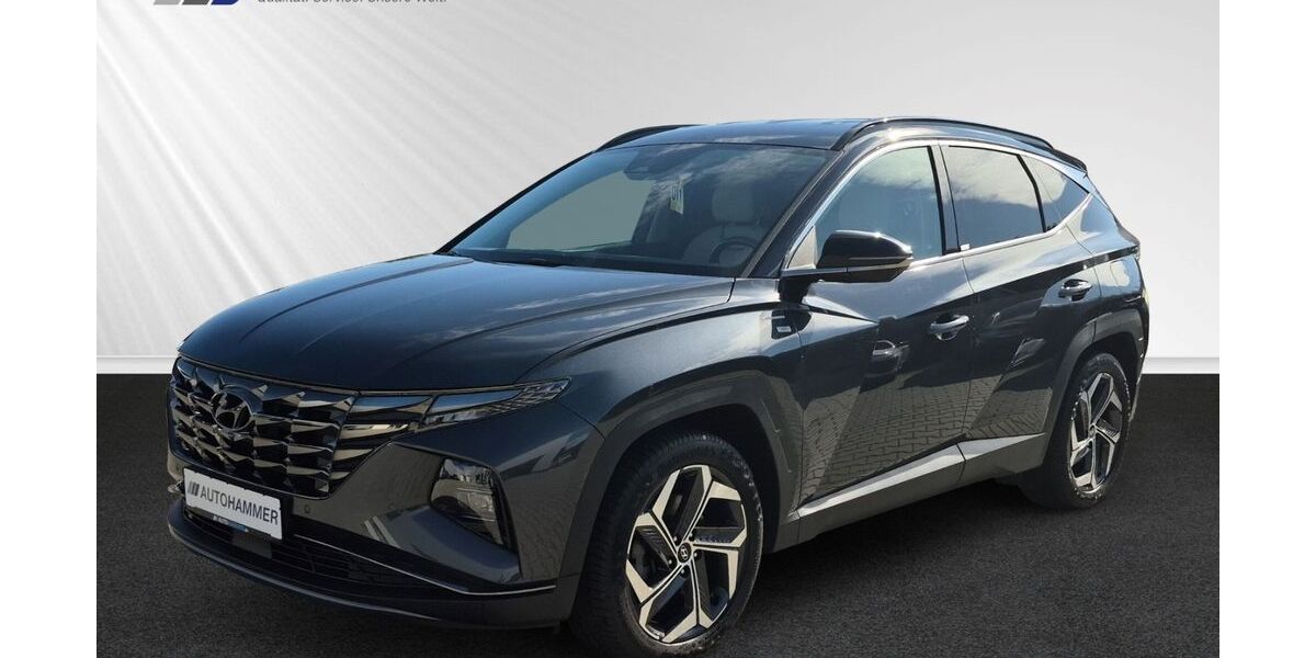 Hyundai TUCSON 106.800 km 22.350 &euro; Dresden / Radebeul 01445