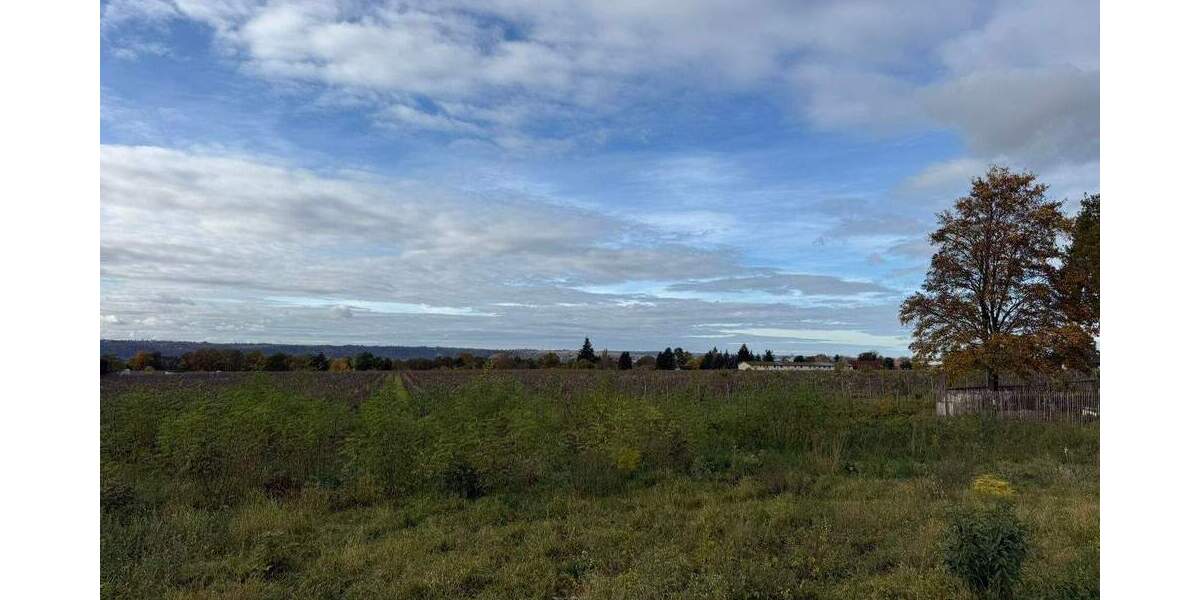Baugrundstück in Weinböhla ++ Ruhige Höhenlage - gemächlich an den Weinbergen zimmer