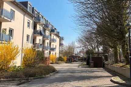 Wohnung Dresden Blasewitz - 2 Zimmer, 59 m&sup2;, 700&euro; | Angebot:26381228