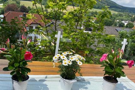 Exklusives Einfamilienhaus in Höchst Anbindung an Frankfurt