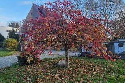 Grundstück Dresden Cotta - 299.000&euro; | Angebot:25798302