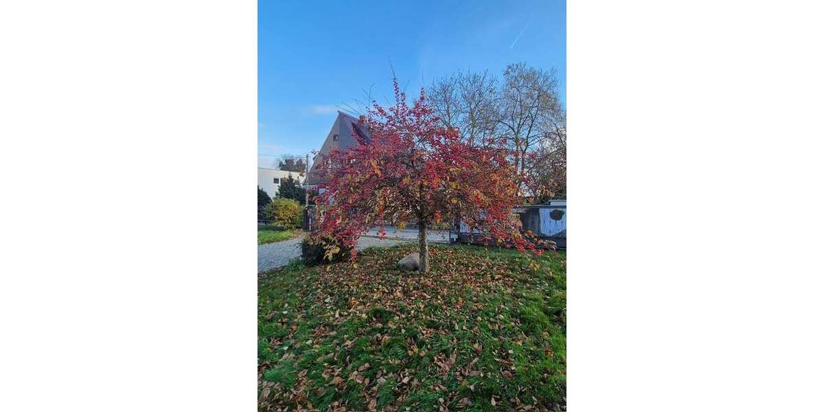 Grundstück Dresden Cotta - 299.000&euro; | Angebot:25798302