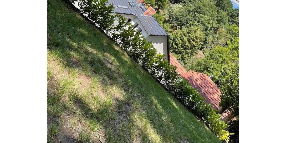 Erdgeschoßwohnung Dresden Loschwitz - 2 Zimmer, 57 m&sup2;, 730&euro; | Angebot:25879190