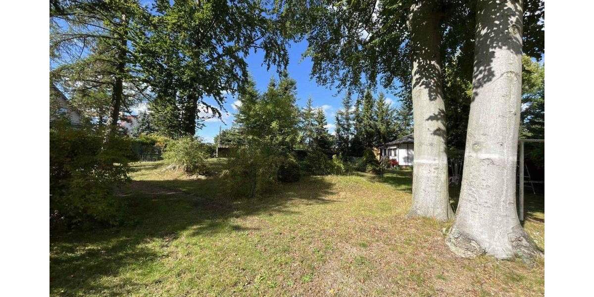 Liegau-Augustusbad: Großes Bauland am Waldrand zimmer