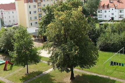 Wohnung zum Mieten in Dresden 400 € 39.69 m²
