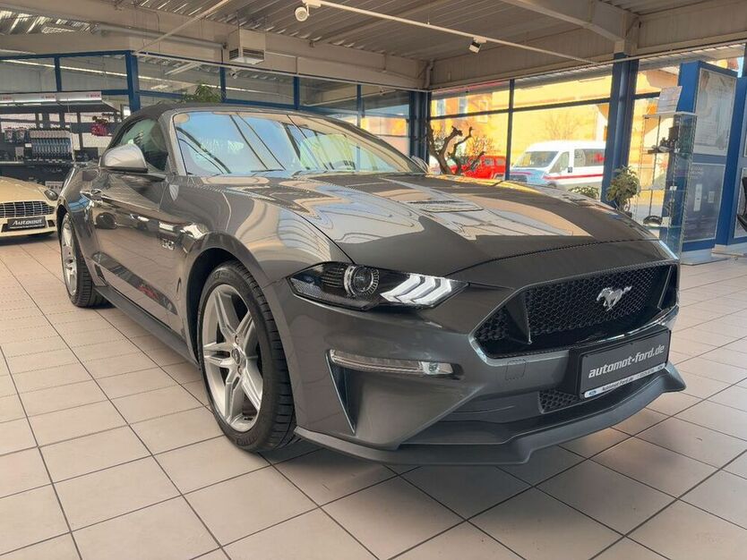 Mustang