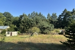 Einfamilienhaus mit ganz viel Potential und XL Grundstück in begehrter und ruhiger Siedlungslage - Einfamilienhaus Weinböhla | Angebot:27156514