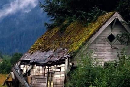 Haus Dresden Pieschen - 11 Zimmer, 220 m&sup2;, 480.000&euro; | Angebot:26147188