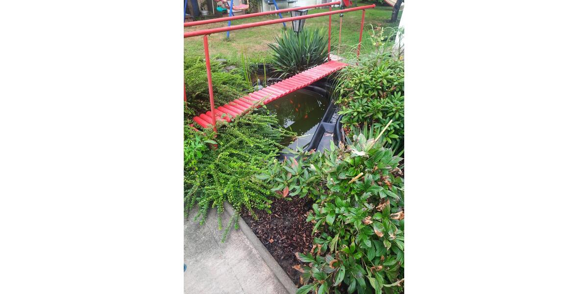 Doppelhaushälfte Dresden Pieschen - 11 Zimmer, 220 m&sup2;, 480.000&euro; | Angebot:25612694