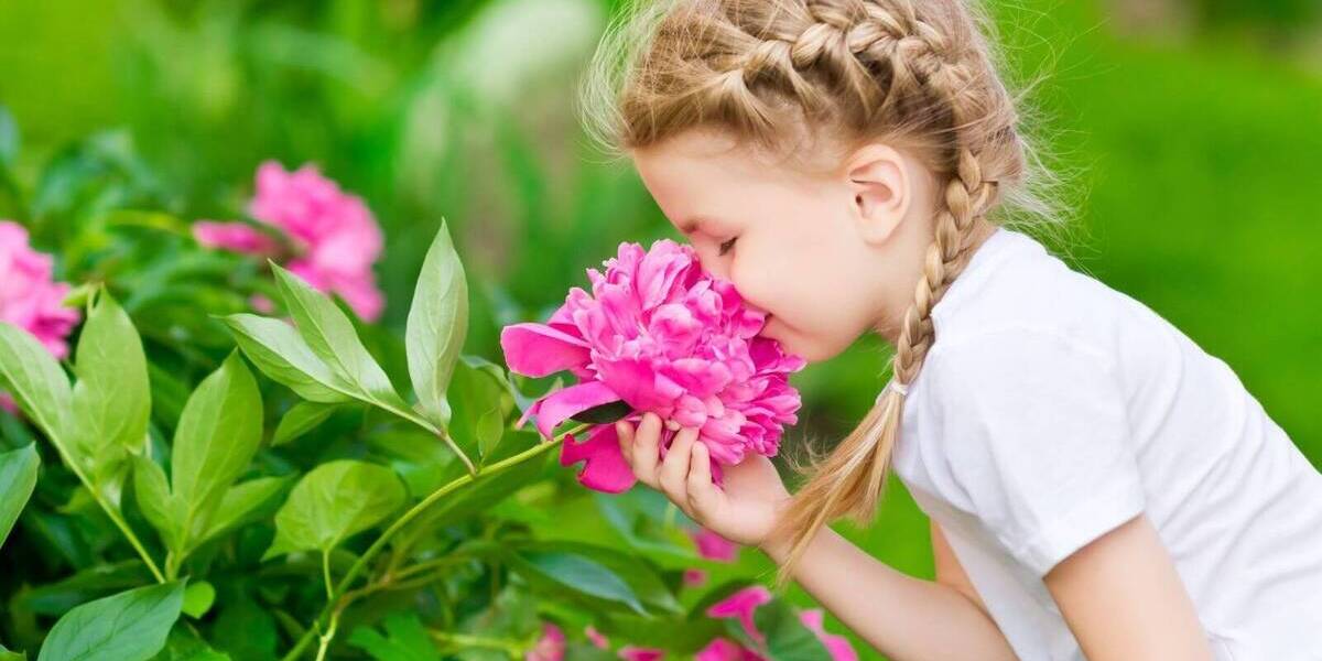 Bungalow Radeberg Großerkmannsdorf - 3 Zimmer, 98 m&sup2;, 287.779&euro; | Angebot:26028146