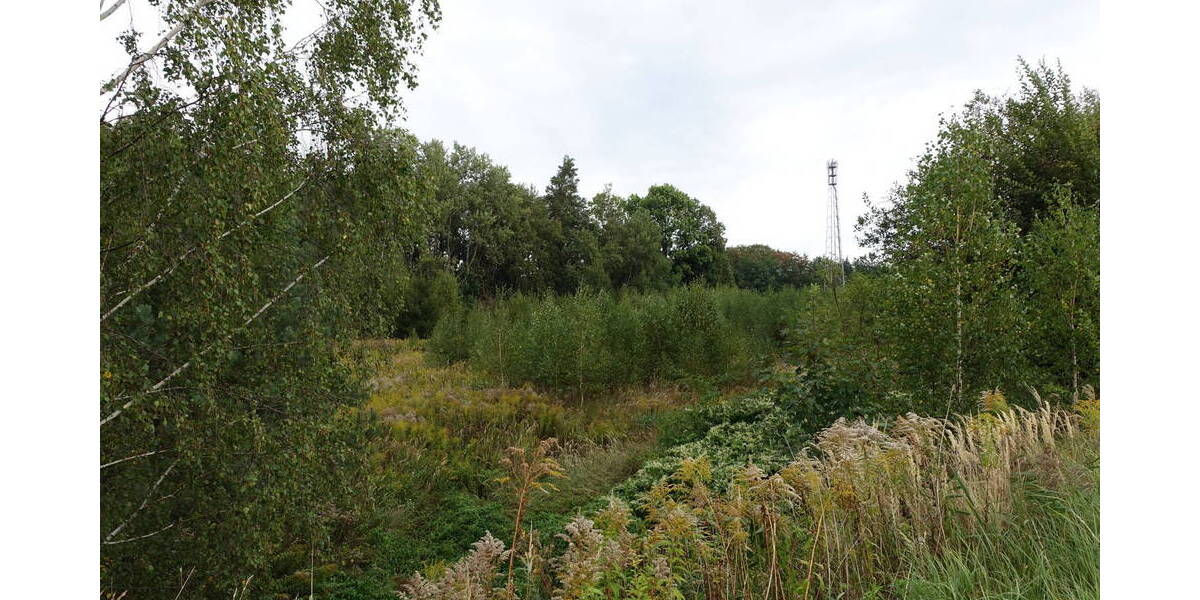 Gewerbeobjekt Großröhrsdorf - 549.000&euro; | Angebot:25676991