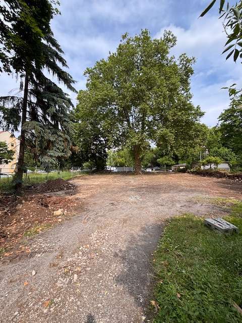 Wohnung zum Kaufen in Dresden 469.000 € 67.17 m²