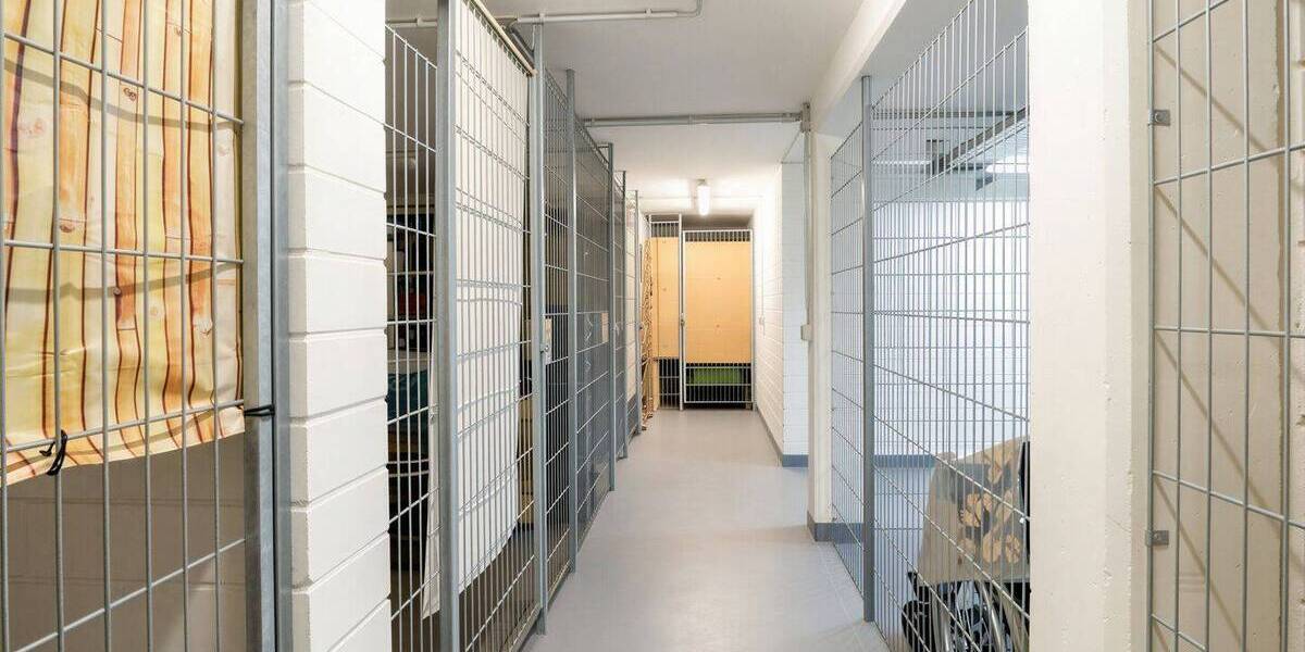 Etagenwohnung Dresden Trachau - 2 Zimmer, 60 m&sup2;, 169.000&euro; | Angebot:26915943