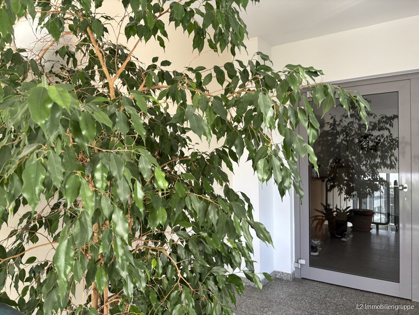 Seniorengerechte 3-Zimmer Eigentumswohnung mit Fahrstuhl und TG 3 zimmer