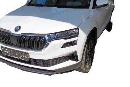 Skoda Karoq 18.028 km 24.990 &euro; Dresden 01169