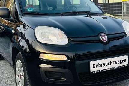 Fiat Panda 217.000 km 2.599 &euro; Dresden 01259