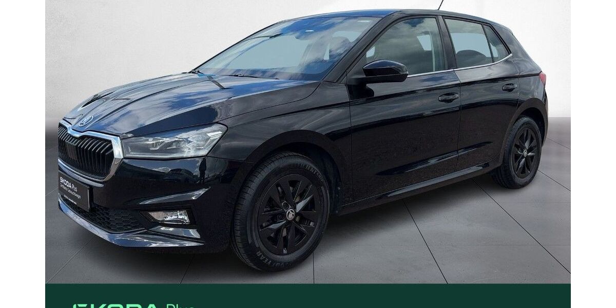 Skoda Fabia 29.496 km 16.980 &euro; Dresden 01169