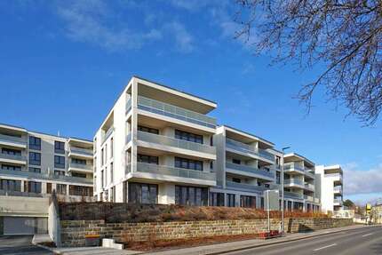 Wohnung zum Mieten in Dresden 1.130 € 75.11 m²