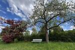 Grundstück Dresden / Schönfeld-Weißig Innere Altstadt - 65.000&euro; | Angebot:26472911