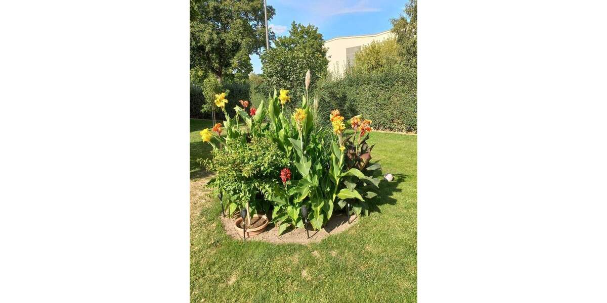 Gepflegtes Zweifamilienhaus mit großem Garten und Pool in Radebeul-Naundorf 7 zimmer