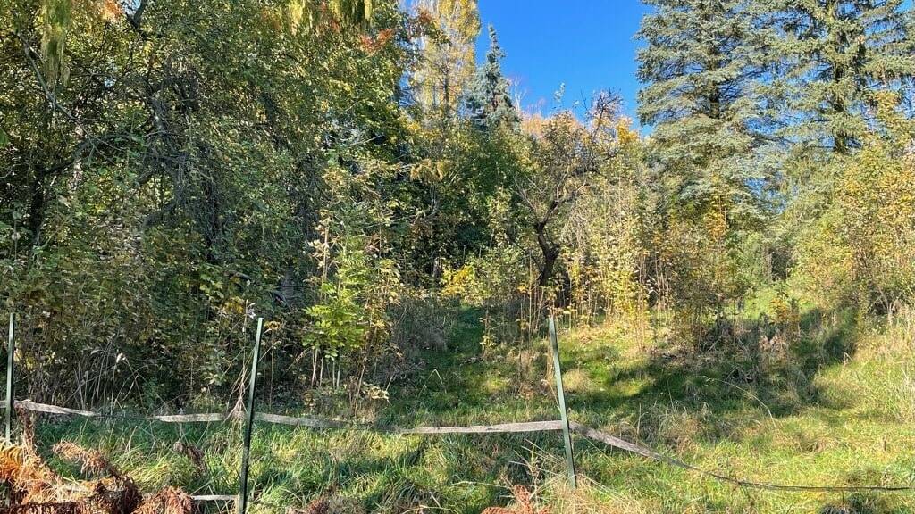 Grundstück Freital Weißig - 85.000&euro; | Angebot:25704804